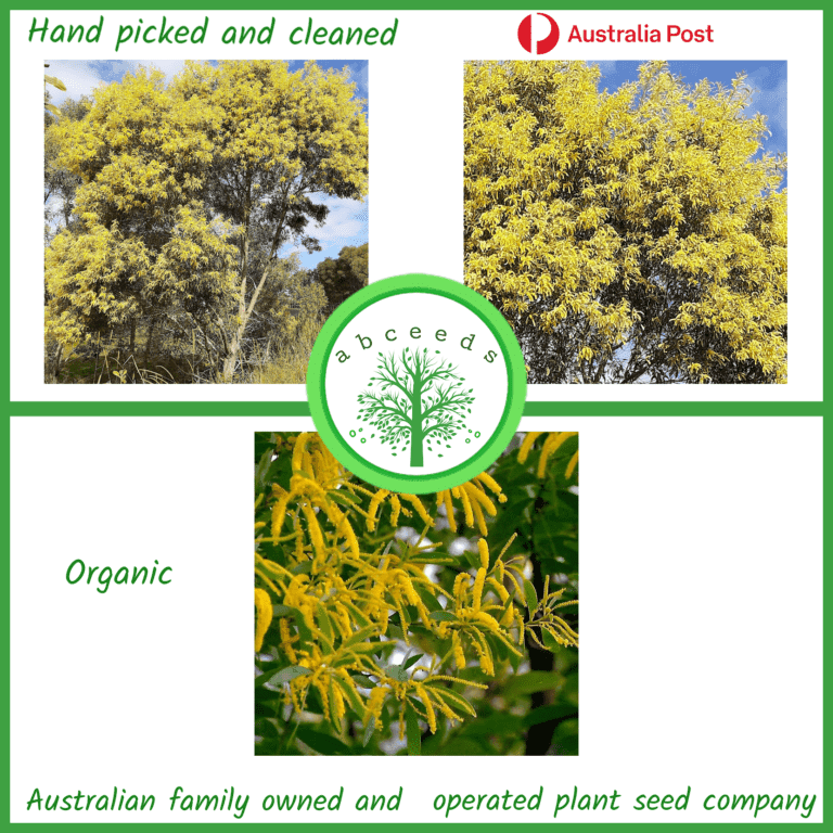 Australian Native Tree and Shrub Seed Shop