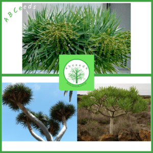 Non-Native Tree and Shrub Seed Shop